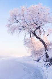 Maybe you would like to learn more about one of these? Cherish Change In A Winter Wonderland Hd Hd Beautiful China Winter Scenery Backgrounds Free Chinese Font Download