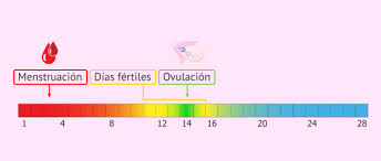 Me Puedo Quedar Embarazada Teniendo La Regla