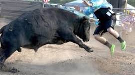 Red, White, Blue & Bulls Freestyle Bull Fight