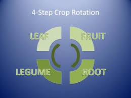 4 Step Crop Rotation Plan The Garden Academy