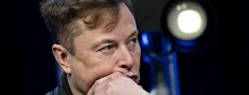 Twitter Investor Group Leads Suit Against Elon Musk Over Buyout