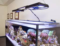 How To Hang An Aquarium Light With A Suspension Kit Marine Depot Blog