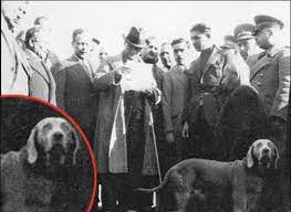 ataturk un hayvan dostlari alp alber ve foks ajanimo