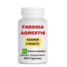 Image result for Fadogia