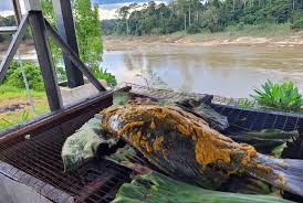 👉bermalam 2 hari 1 malam : Pakej Percutian Keluarga Taman Negara Pahang Kem Alang Sedayu Asia Camp