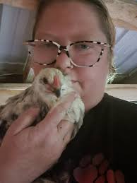 Where can I get teenage chickens?