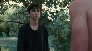 Timothée chalamet discusses the craft of acting, how he chooses roles + working with luca guadagnino + armie hammer on call me by your name subscribe to. Black Jumper Of Elio Timothee Chalamet In Call Me By Your Name Movie