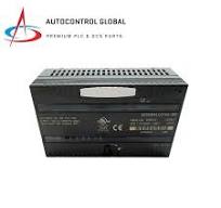 IC200ALG240 | Analog-Eingangsmodul | GE Fanuc Versamax