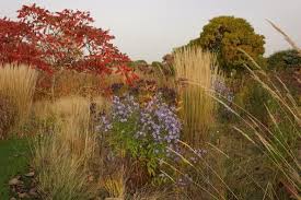 Piet Oudolf Verrat Gartentricks Fur Herbst Und Winter Welt Garten Privatgarten Pflanzen