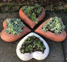 Pin By Natalie Johnson On Outdoors Ceramic Flower Pots Garden Pottery Pottery Planters