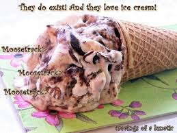 Moose tracks ice cream recipe. Copycat Moosetracks Ice Cream Recipe