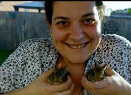 Is feeding wild animals