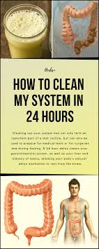 How To Clean My System In 24 Hours With Images Clean Detox Body Detox Diet Detox Diet