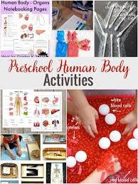Fall science activities are some of the best because they are simple to put together and loads of fun for children! Preschool Human Body Activities Human Body Activities Body Preschool Preschool Science Activities