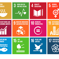 Saifudin said the first step was to actively participate in discussions at various international forums where malaysia was already a. Seventeen 17 Sustainable Development Goals Sdgs Download Scientific Diagram