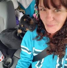 Cute photos of a sweet little dog named Jax