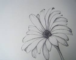 Pin By Melissa On Illustration And Imagination Flower Sketches Flower Sketch Images Imagination Drawing