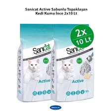 Hangi Kedi Kumu Daha Iyi En Iyi 10 Kedi Kumu