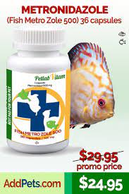 Buy Online Metronidazole Fish Metro Zole 500 36 Capsules Contains Water Soluble Metronidazole Capsule Stuff To Buy Fish