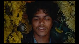 Happy to share some stills and BTS from Flores Amarillas., Shot