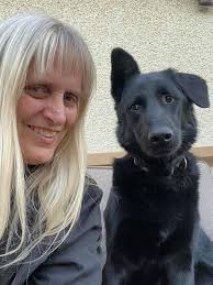 Trust the process 💜 Seraphs For BarDa DaylightBarDa LoversBarDa Royales  SquadDavid LicaucoBarbie Forteza