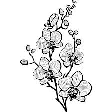 Sketches Of Flowers And Birds Chelss Chapman Free coloring pages make it easy and fun to learn about state symbols and the united states. sketches of flowers and birds chelss