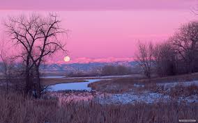 Find over 100+ of the best free pink aesthetic images. Pink Nature Aesthetic Wallpapers Top Free Pink Nature Aesthetic Backgrounds Wallpaperaccess