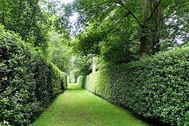 Renishaw Hall Garden