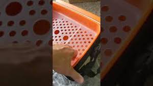 We did not find results for: Titan Deepfreeze 30 Can Zipperless Hardbody Cooler Moss Youtube