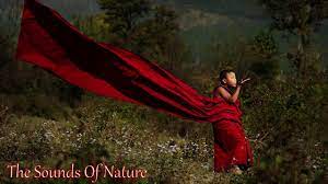 Muzica noua moldoveneasca de petrecere. Muzica Tibetana Pentru Relaxare Si Meditatie Tibetan Music For Relaxation And Meditation Youtube