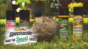 Spectracide Solutions Wasp Hornet Yellow Jacket Killer Youtube