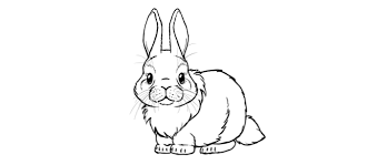 Kawaii schattige dieren tekenen moeilijk. Hoe Je Een Schattig Konijntje Kunt Tekenen Stap Voor Stap Ontwerp Illustratie Website Ontwikkeling Computerspellen En Mobiele Applicaties