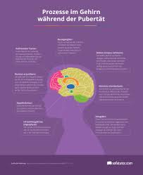 Dennoch lässt sich ein gewisser fahrplan erstellen, an dem eltern und betreuer wie lehrer und sportleiter sich orientieren. Pubertat Ein Ratgeber Fur Eltern