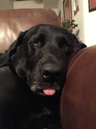Sleep Time