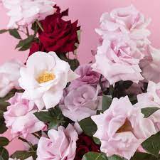 Feminine Qualities Photo And Styling By Ruby Marylennox Discover More On Hogan Com Flower Designs Flowers Lennox