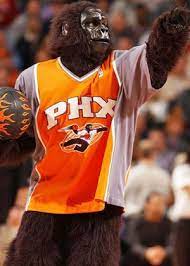 Do the phoenix suns have a mascot? Pin On Sports