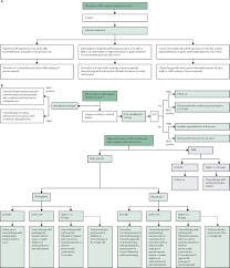 Stage 3 breast cancer treatment timeline. Breast Cancer The Lancet