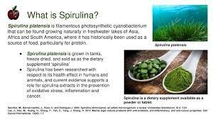 Dxn Spirulina An Excellent Source Of Vitamin K Spirulina What Is Spirulina Vitamin K