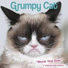 Grumpy Cat 2020 Mini Wall Calendar Acco Brands Funny Grumpy Cat Memes Grumpy Cat Meme Grumpy Cat