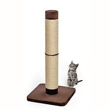 How much are cats at petco. Midwest Forte Grand Scratching Post For Cat 41 H Petco Cat Scratching Post Cat Scratching Scratching Post