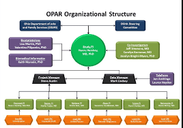 organizational structure ohio childrens hospital association