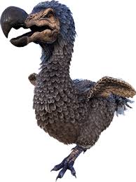 Ark Survival - How To Tame An Oviraptor - Youtube