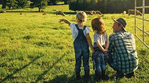 SHARING EARLY INSIGHTS FOR MORE RESILIENT COMMUNITIES