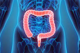 There were no articles found for this tag. European Colorectal Cancer Awareness Month Guts Uk