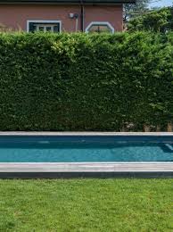 Piscine Bois Luxe Rectangulaire Avec Plage Immergee Escalier 620x420x130cm Piscine Bois Piscine Et Piscine Bois Rectangulaire