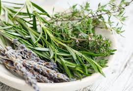 Comment Bien Faire Secher Ses Plantes Aromatiques Pour L Hiver Herbes Aromatiques Plantes Aromatiques Aromates