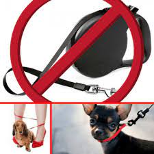 Why Retractable Leashes Are Dangerous At A Veterinary Hospital Animal Hospital Of North Asheville