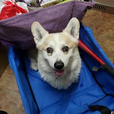 Lux shares a quick photo before dropping kids off