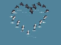 Animated Birds Flying In The Sky Gif Https Encrypted Tbn0 Gstatic Com Images Q Tbn 3aand9gcrlnz97a0vj Jn9rlybjgzobkrefy Vxrha6g Usqp Cau