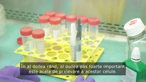 Indicatii terapeutice ale celulelor stem. Celulele Stem Intre Mit Si Realitate Argumentele Specialistului Care Iti Vor Usura Decizia Privind Recoltarea Ruxandra Luca